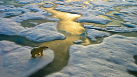 The Time To Act On Climate Change Is Now