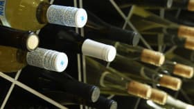This Company Delivers Wine In Bottles, Cans--And Soon, Kegs?