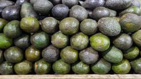 This VR Filmmaker Started Out Selling Avocados and Helping Friends With Record Labels