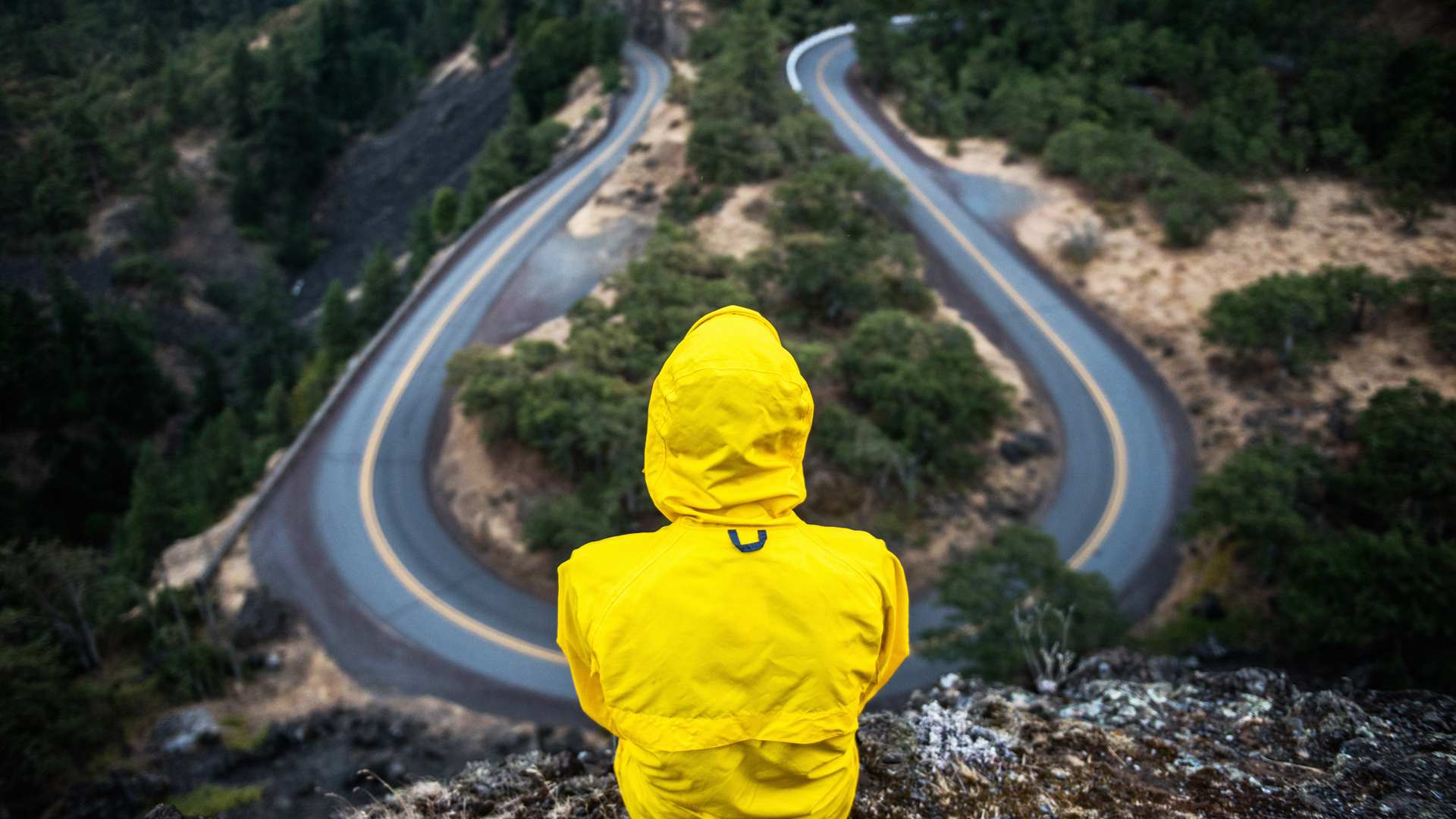 Why Your Career Path Probably Won t Lead You To Your Dream Job Fast